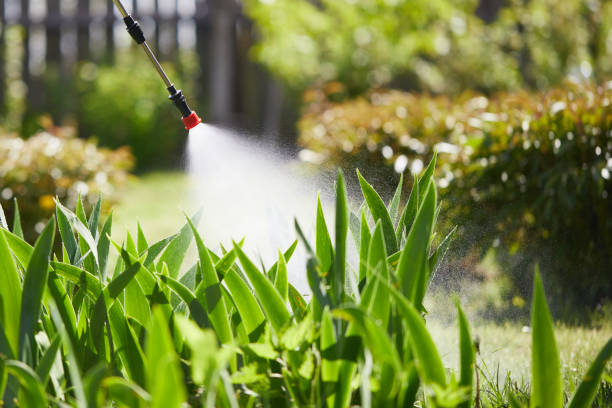 Void Injection for Cockroach Colonies in Citrus Hills