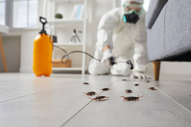 Commercial Kitchen Cockroach Control in Citrus Hills